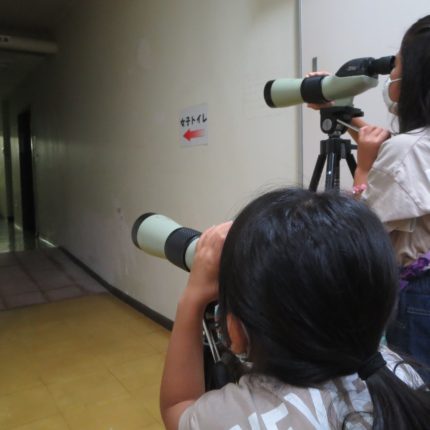 スターウオッチング「夏の星空とペルセウス座流星群」に行ってきました！